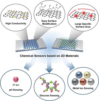 Chemical Sensors Based on Two-Dimensional (2D) Materials for Selective Detection of Ions and Molecules in Liquid